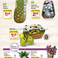 01 Antevisão Folheto ALDI Promoções a partir de 26 fevereiro p17.jpg